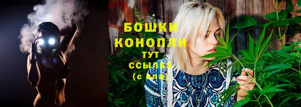 шишки Куйбышев