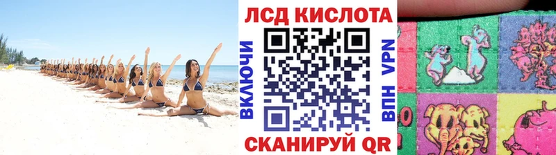 Купить закладки  Камень-на-Оби  Марки 25I-NBOMe 1,8мг 