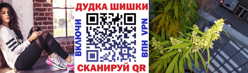 Купить где  Камень-на-Оби  Конопля план 